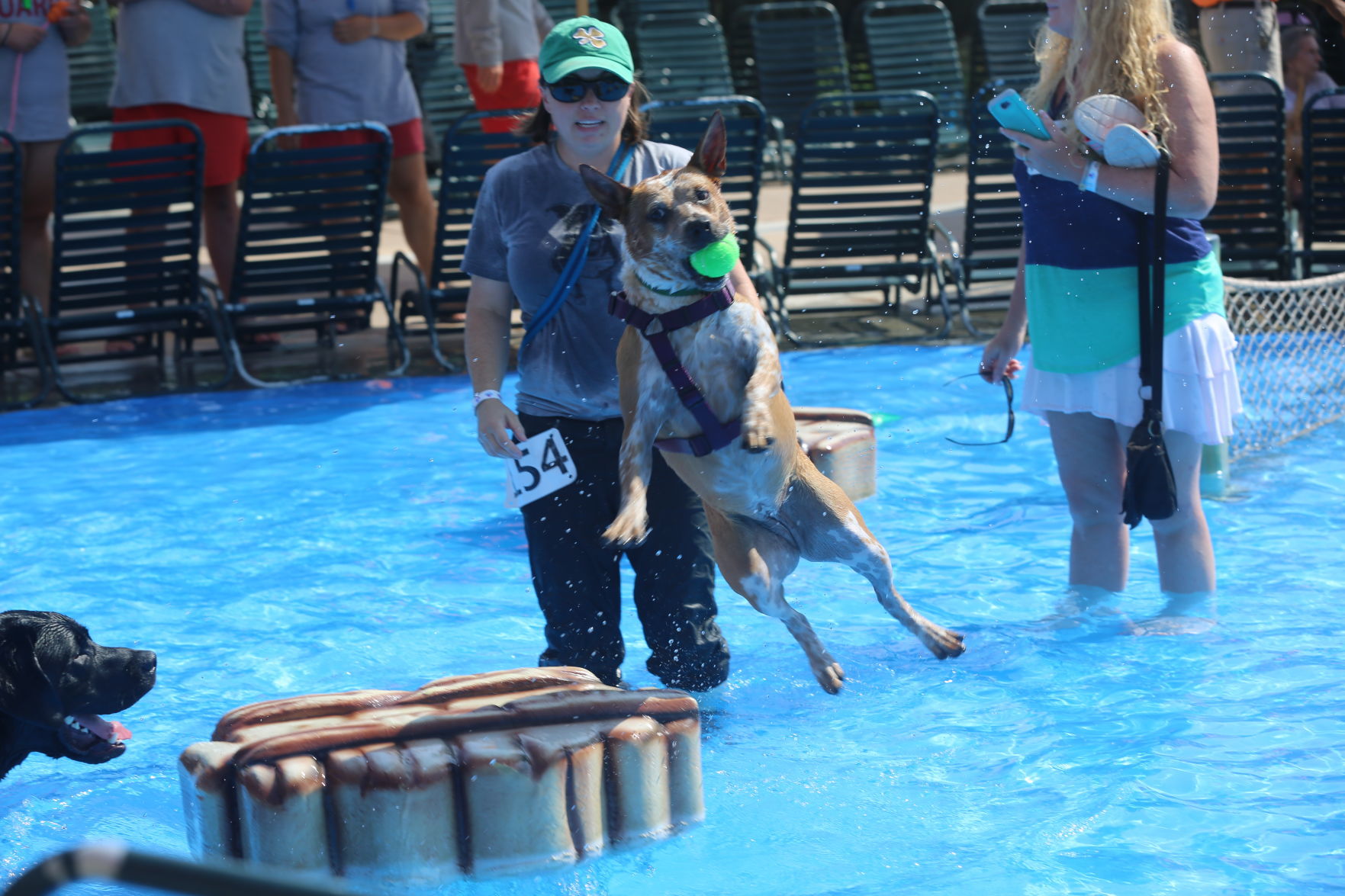 090919_gal_WWdogs (32)